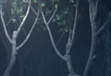 אנושבן ססונבר