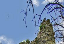 מבצר אנדברד