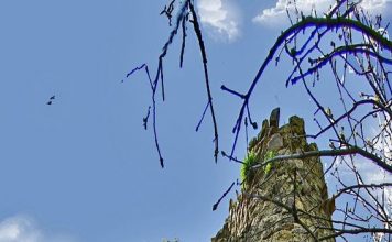 מבצר אנדברד