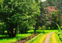 ארבורטום סטפנבן