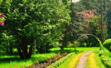 ארבורטום סטפנבן