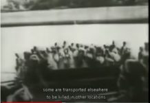 ארמניה המיוסרת, 1919