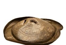 מגן עם כיתוב של הצאר רוס הראשון